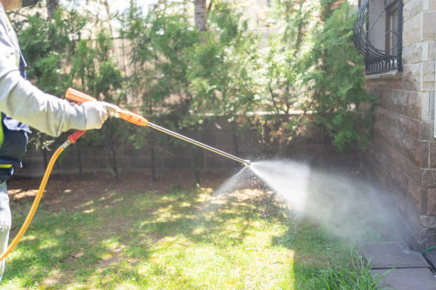 Pest Control Cost in Woodmere, NY